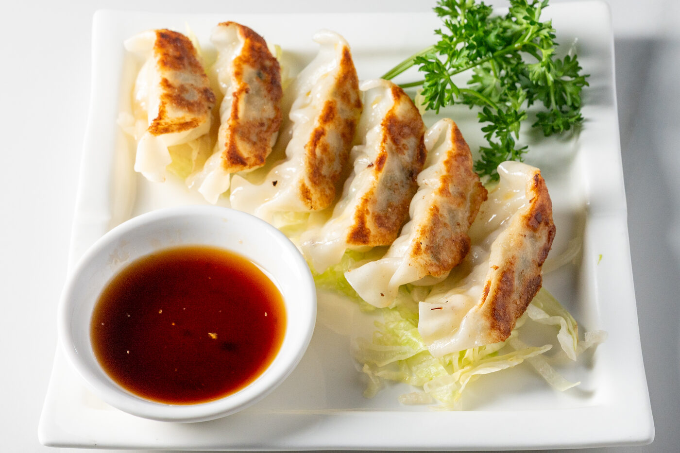 Pork Gyoza pan-fried dumplings with dipping sauce - East Moon Asian Bistro Centennial CO